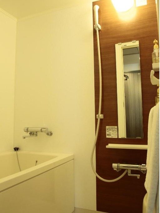 �X�[���A�^�C�v