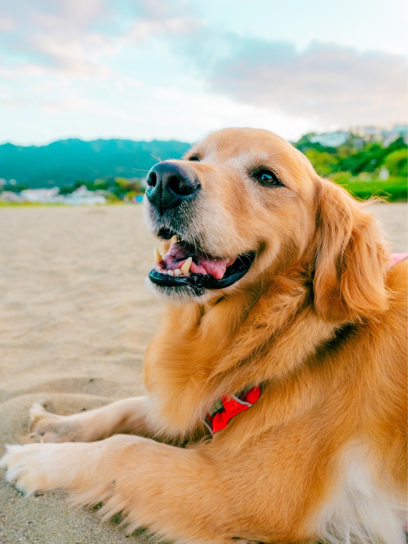 �����}����