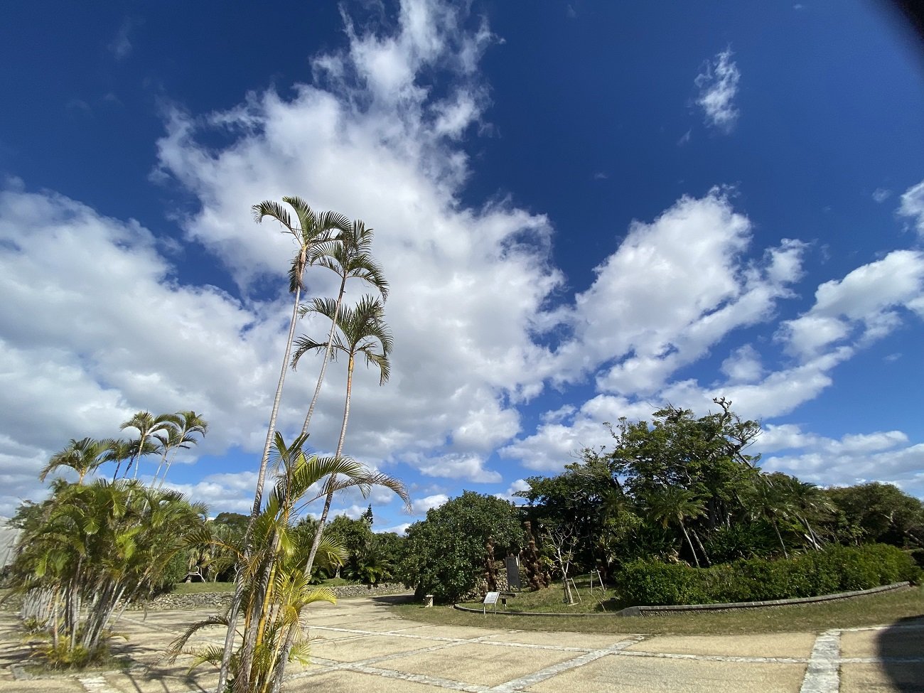 �����̋�B