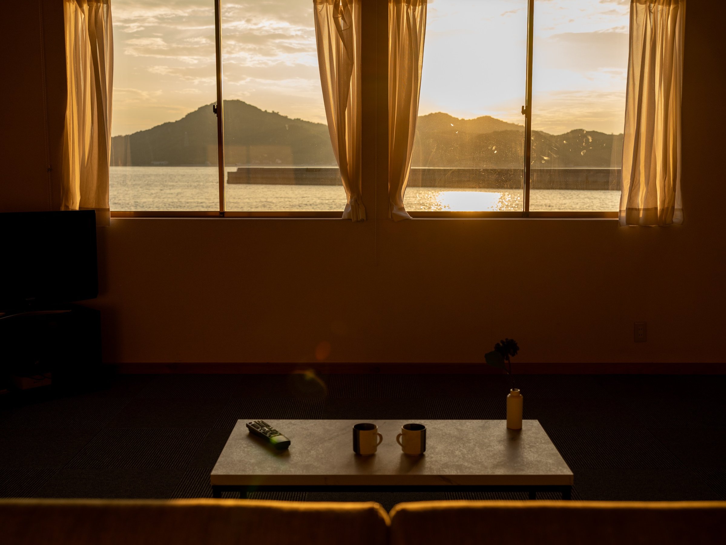 �����猩����[�Ă�