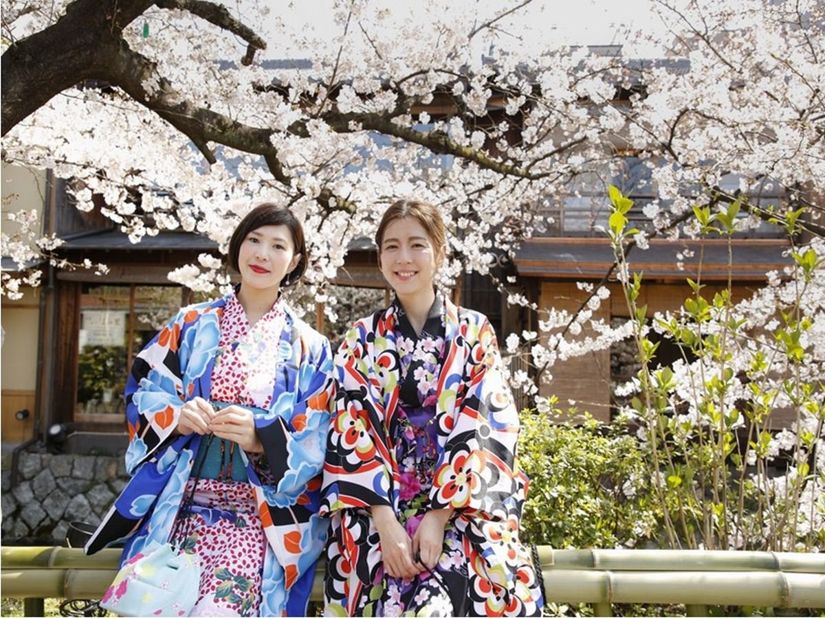 �n���S�l���w����k���V���B�_����؉����ɂ��֗���