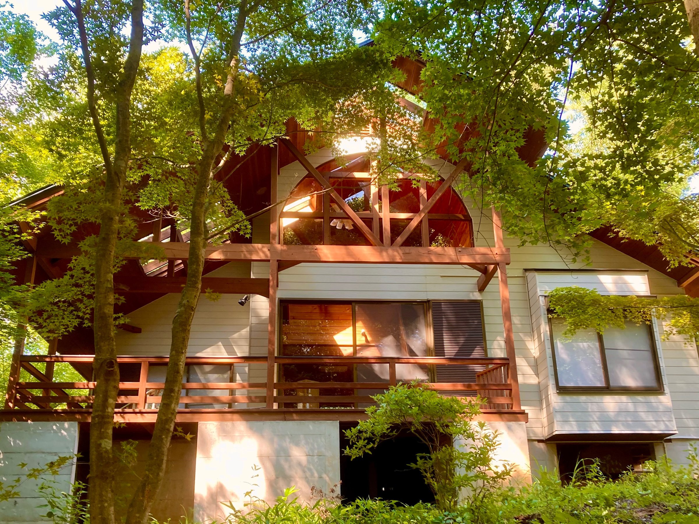 20���[�g���~ 15���[�g���̍L�X�Ƃ����h�b�N���[�h