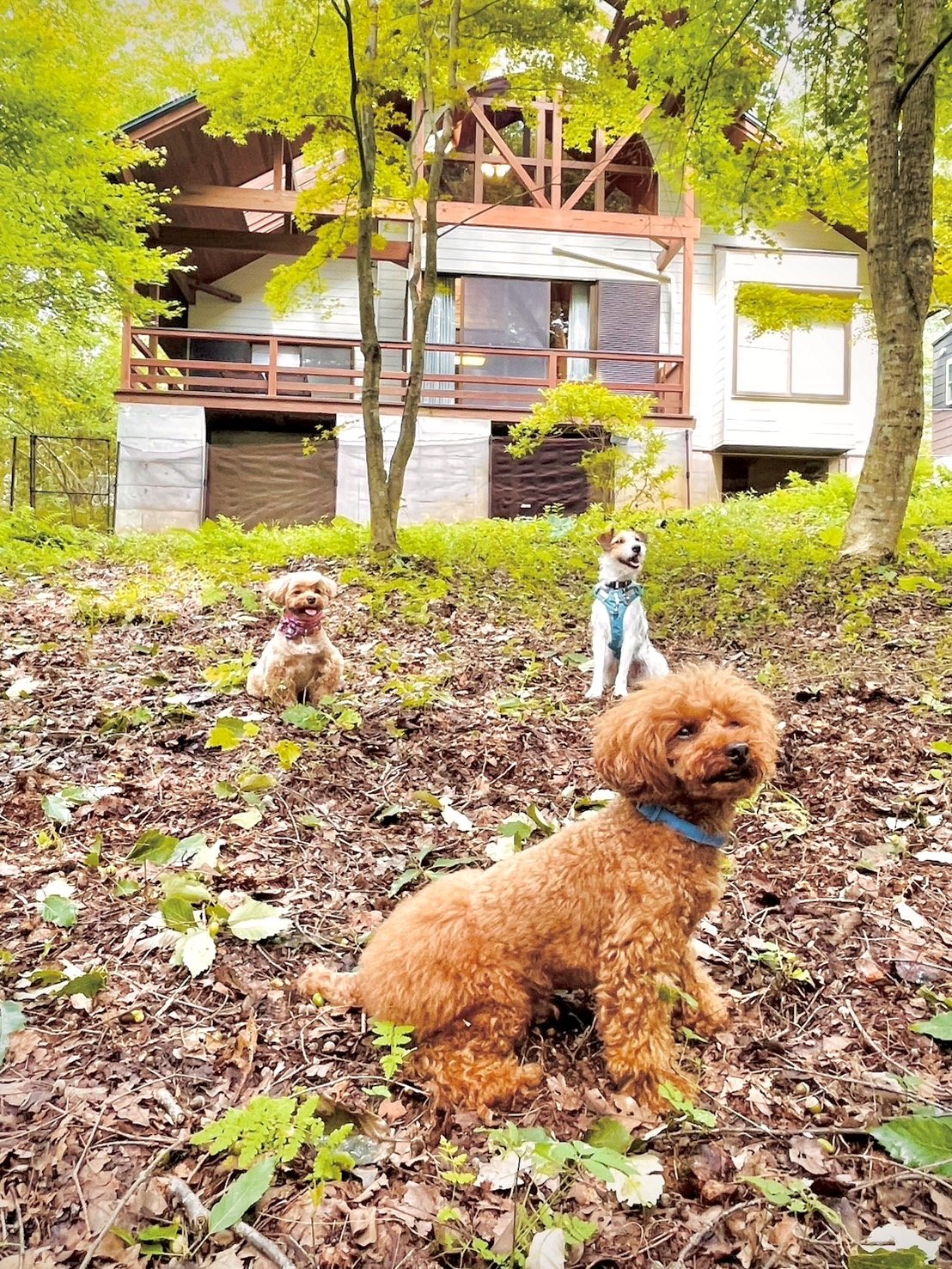 �����`�����p�̃T�[�N��������܂�