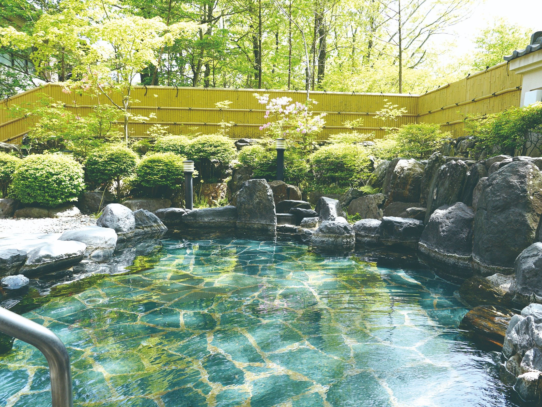 yIVCzR̋CȂÂЂƂƂB