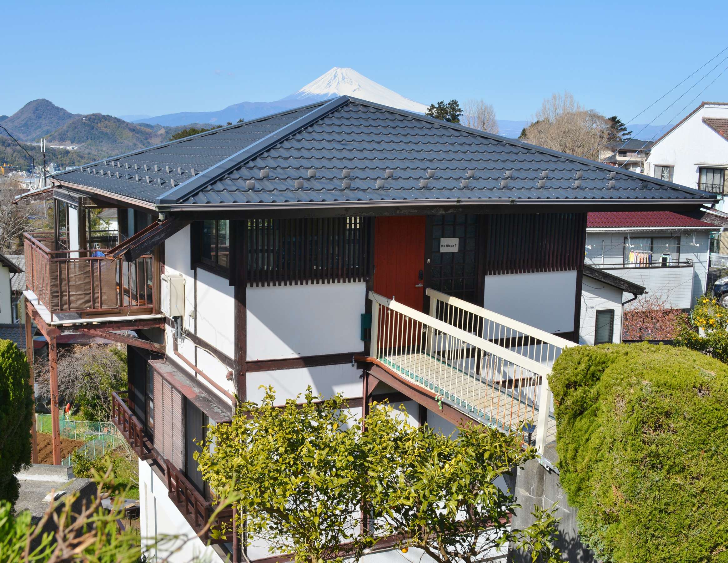 �ɓ�Ricca1 �x�m�R���]�߂�