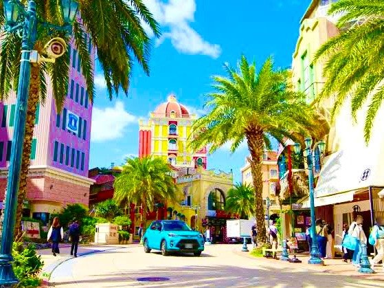 �A�����J���r���b�W