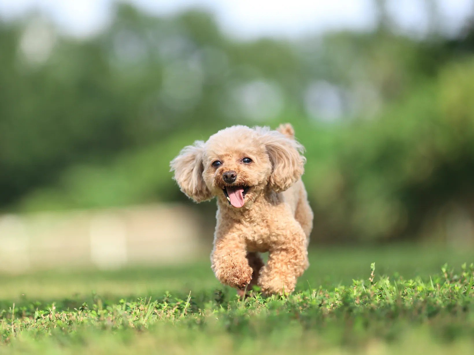 ���^���̓������\�I