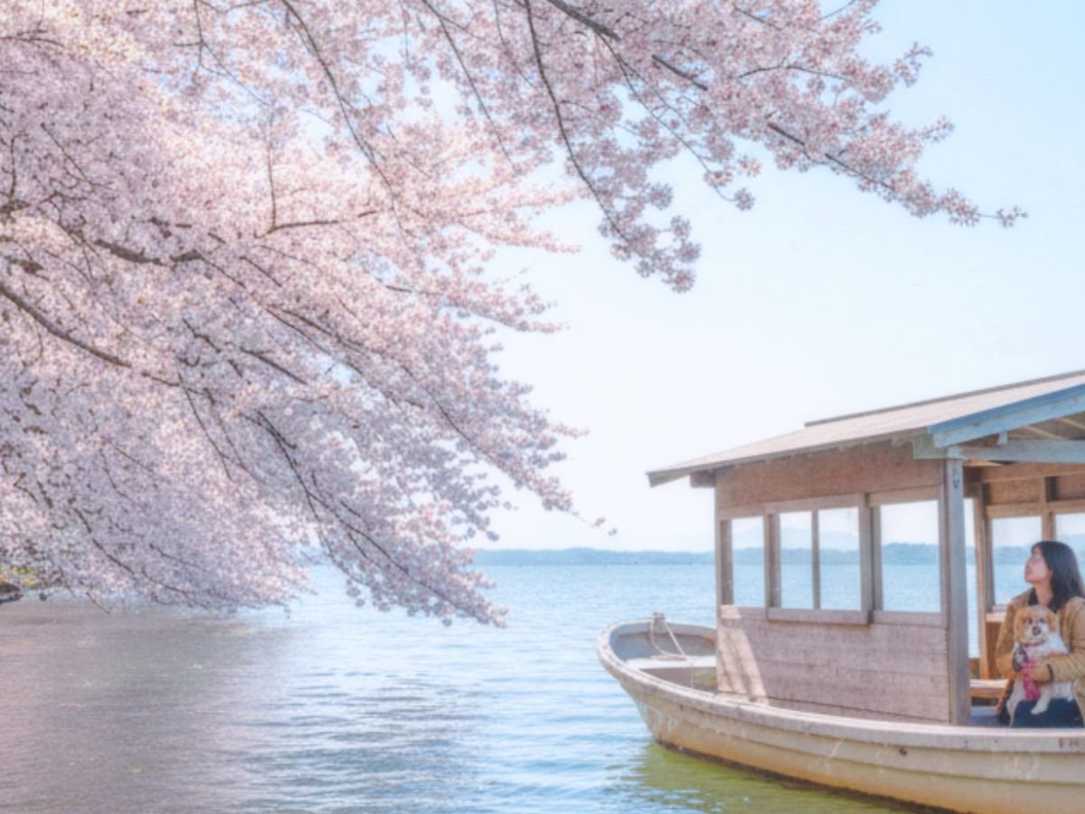 4���E���V�[�Y���̂��\���t���I