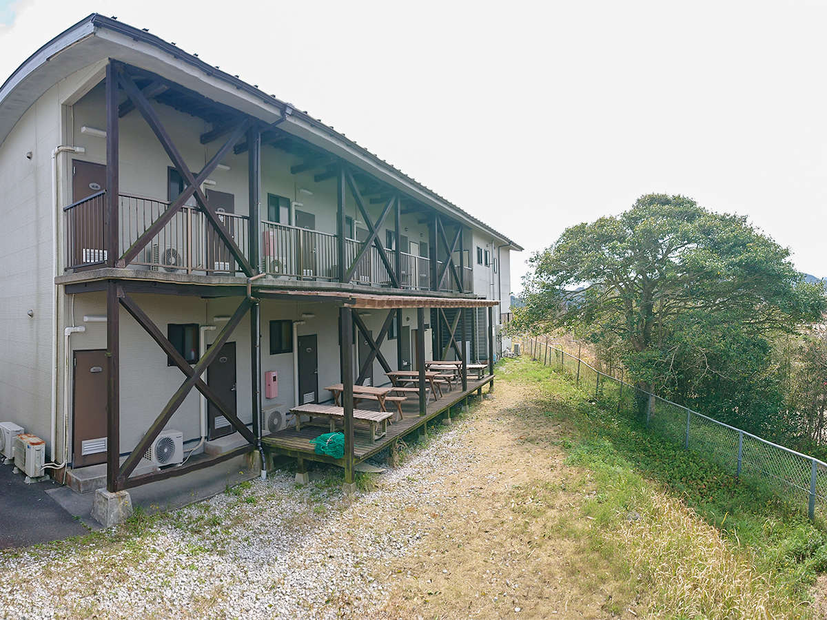 �E�S8���̑f���܂�h�ł�