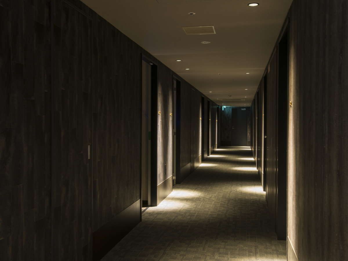 �q���t���A