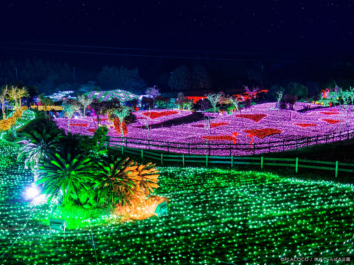 *yOC~ɓOpzzeԂ2œ܂I