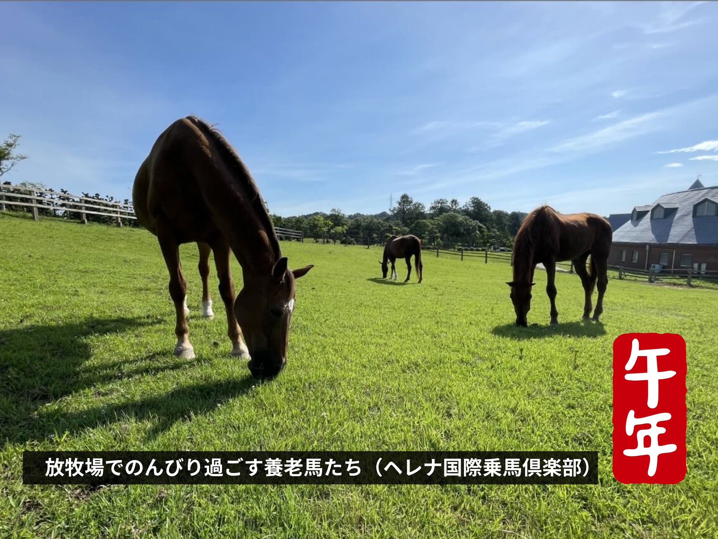 2026�N�͌ߔN�i���܂ǂ��j�w���i�Ŋ��􂷂�n��������낵�����肢���܂��B