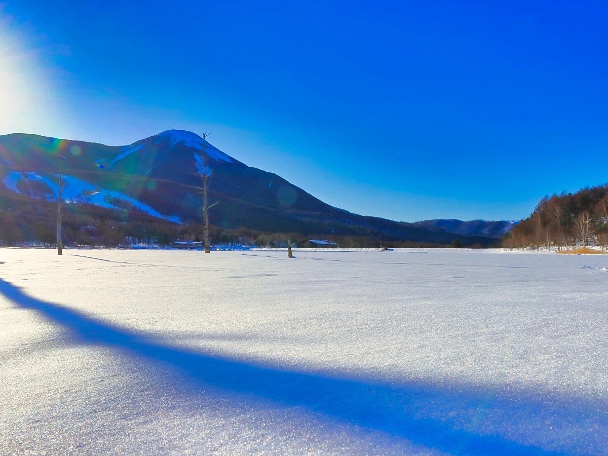 �Ζʂ��������A�_��I�Ȍ��~���̏��_�΁B