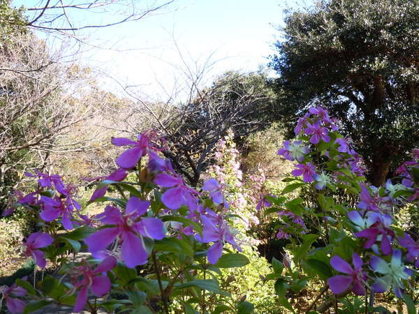 �Q�p�R���R����