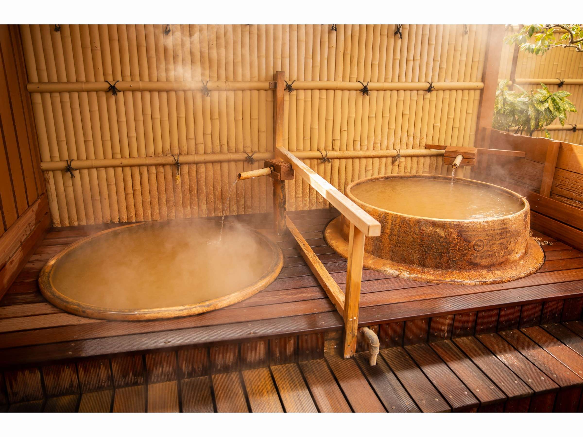 �H�����C�A���핗�C�͂ƂĂ��g�̂��������܂�܂�