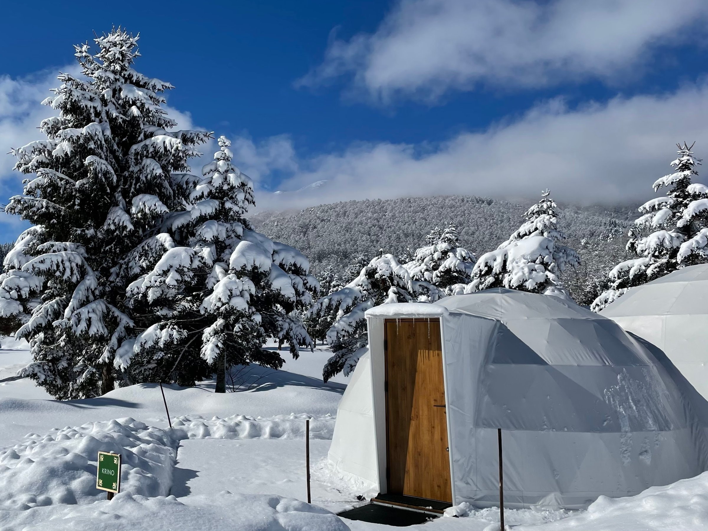 ~̃OsOłAh[̒͗g[̂ߒg߂Ē܂B