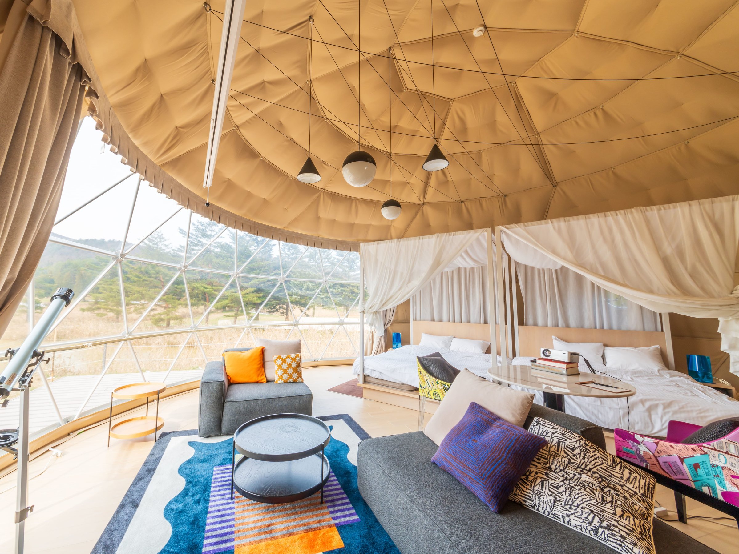 �V�W�t��170cm���̃N�C�[���x�b�h�Q���z�����ґ�ȋ�ԁi�G�O�[�N�e�B�u�X�C�[�g�E�V���O���h�[��8���j