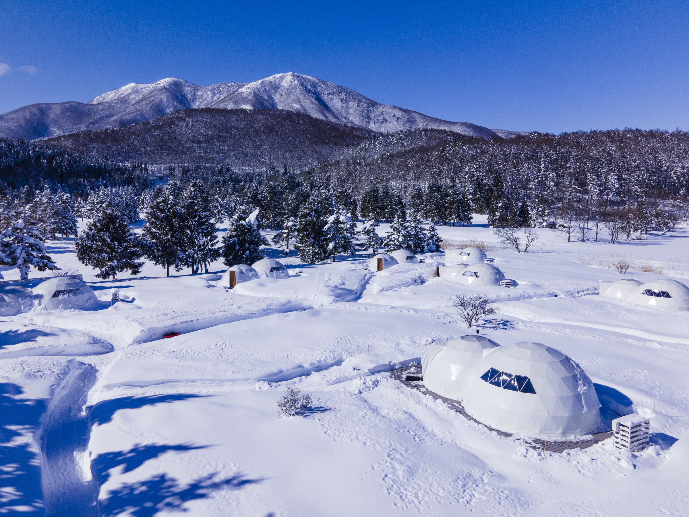 ~GLAMPROOḰA^ȐiFɕ܂܂B