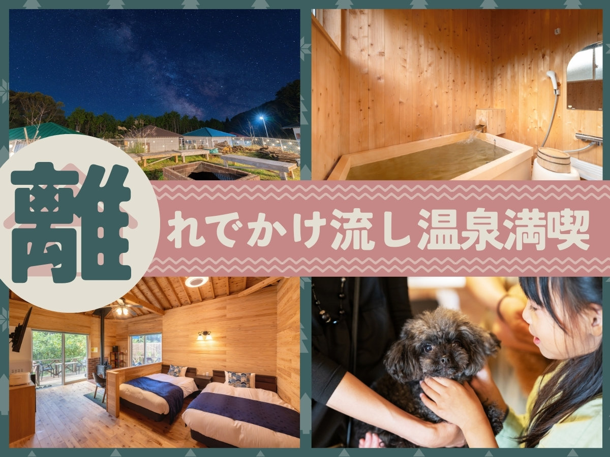 2023NtOPENIS1ˌėu򂩂wCtv