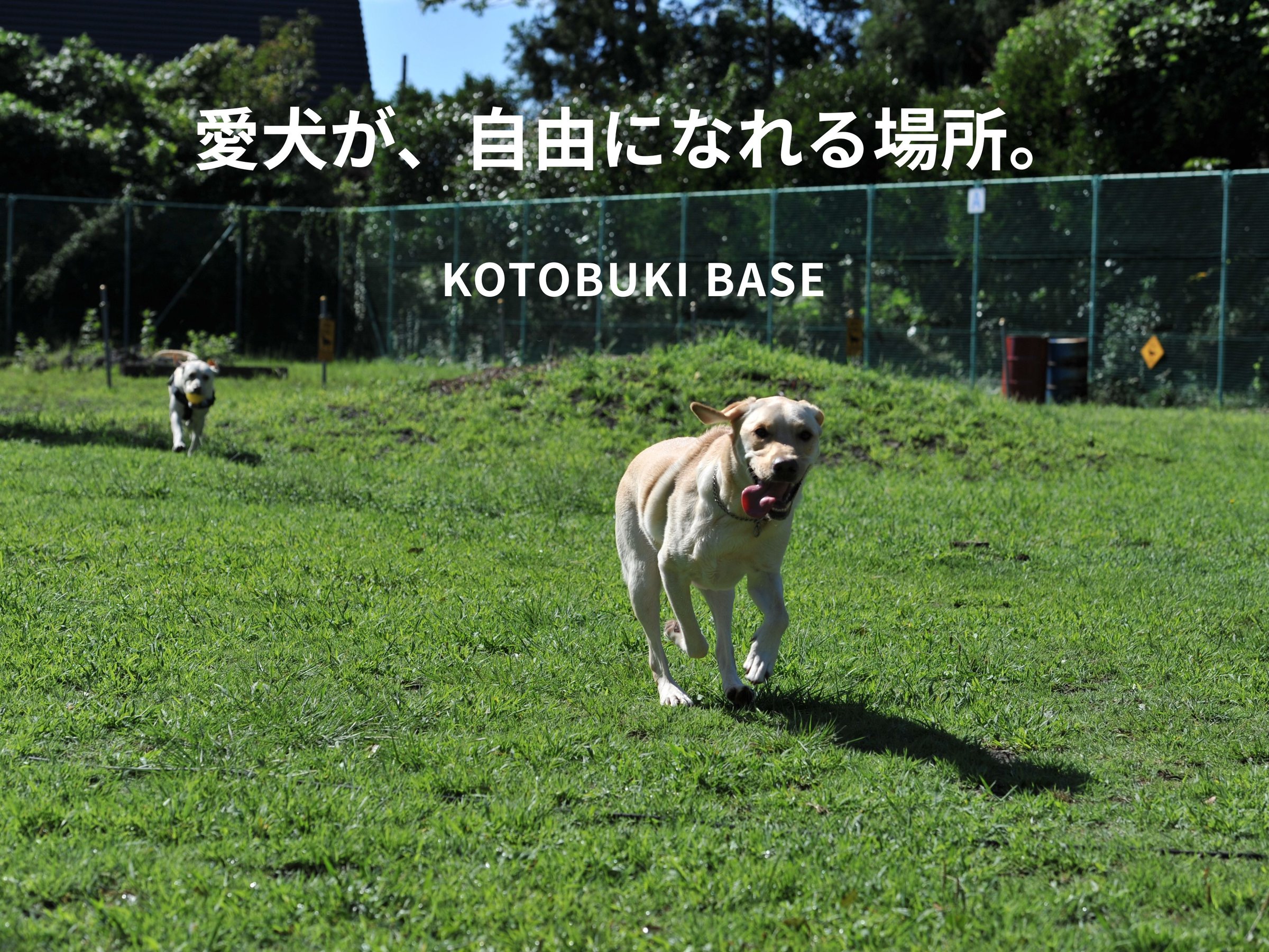 �������A���R�ɂȂ��ꏊ�B