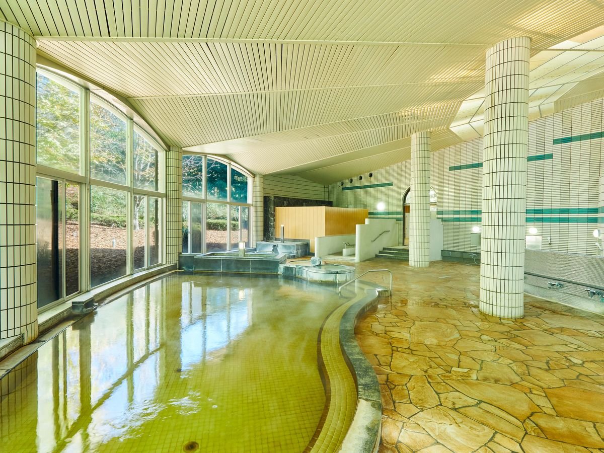 �V�䂪�����J�����̂��鎩���̑嗁��