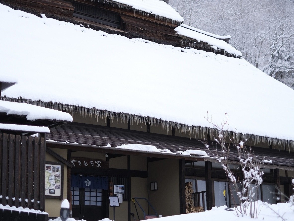 �~�̂₫������