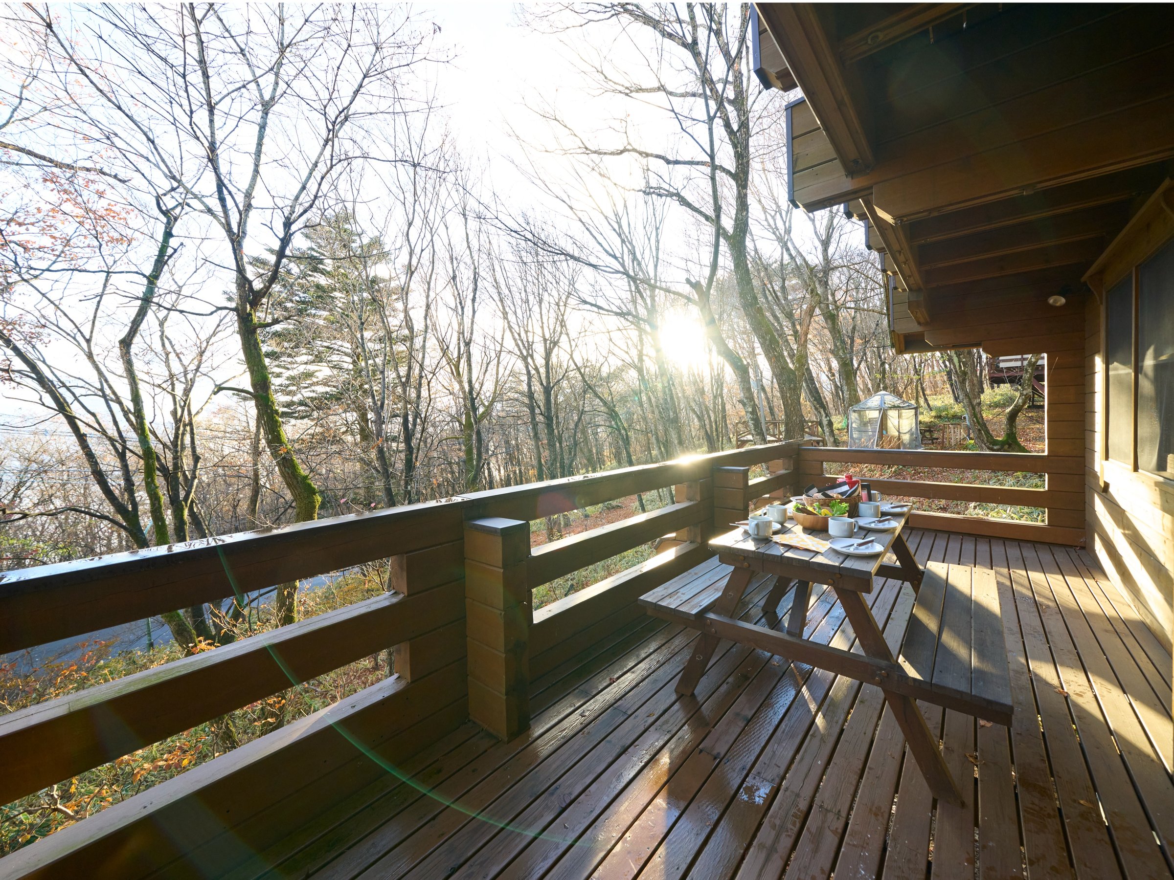 �y�E�b�h�f�b�L�z���R�������Ȃ���A�ґ�ȋ��