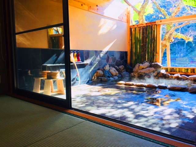 2018�N8/25���j���[�A��OPEN�I���򂩂������I�V���C�t���q��(12��)��