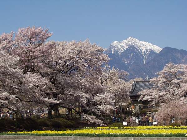 ���{�R����œ��{�ŌÂ̎R���_����̓�A���v�X���o�b�N�ɂ������i