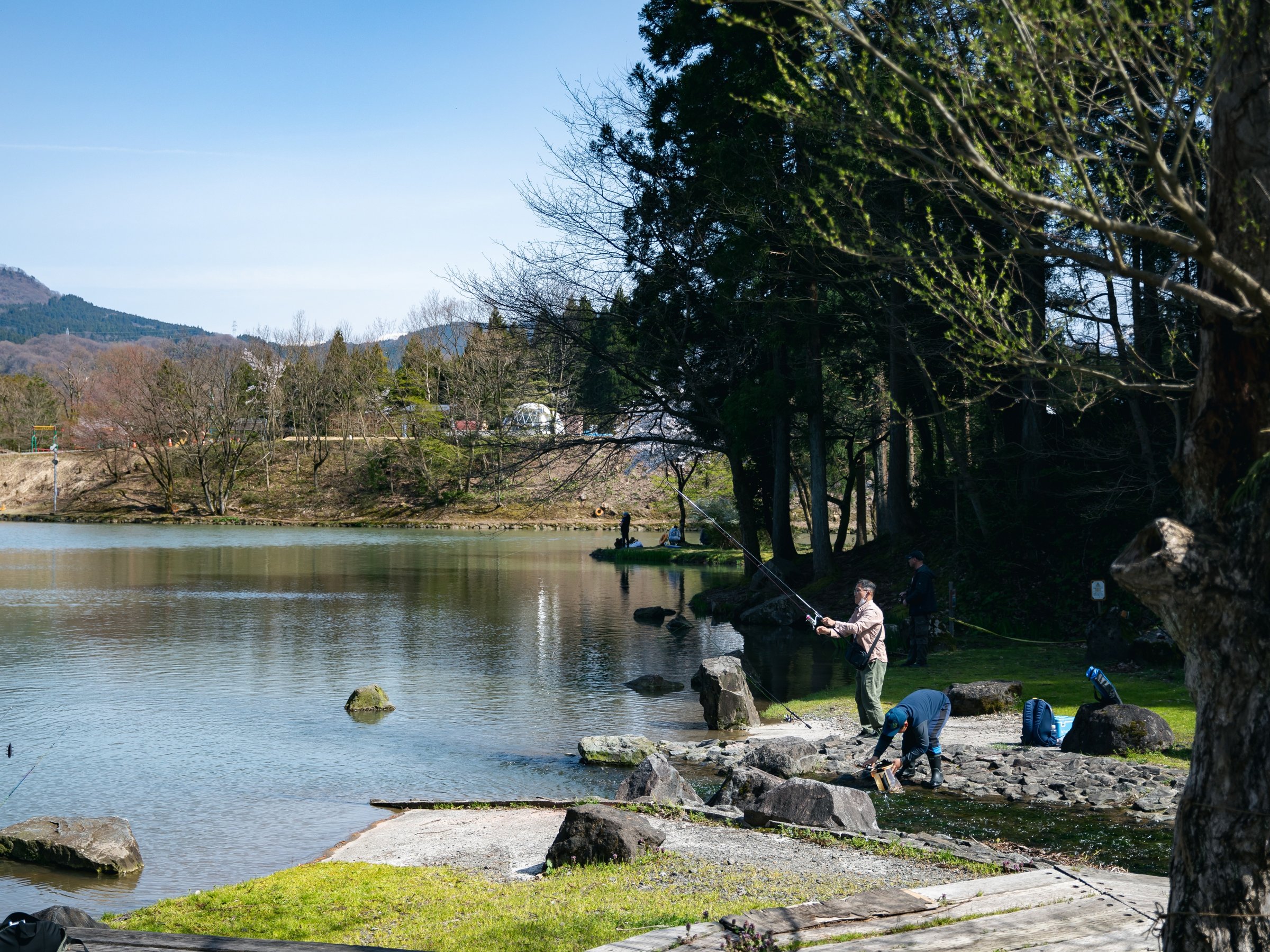 *ytBbVOzԂły߂VΐX̃tBbVO