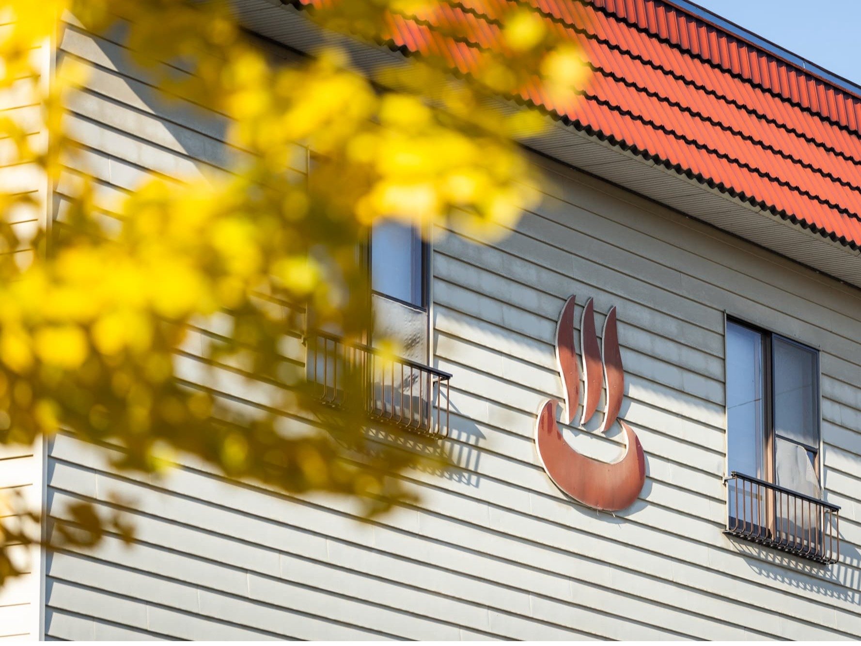 秋の外観【秋】