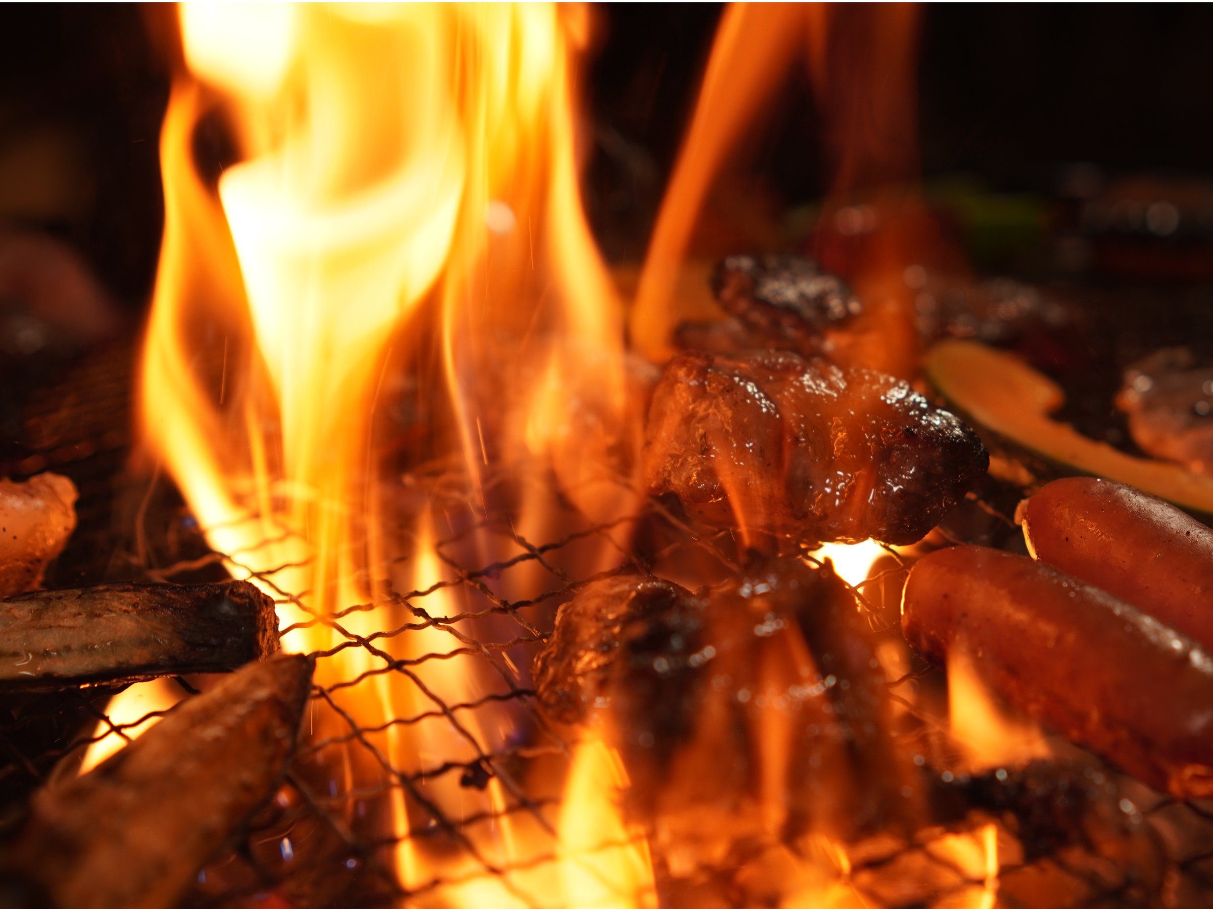 �E�F�[�o�[�Ђ̃o�[�x�L���[�R�����Ŗ{�i�I�ȃo�[�x�L���[���y���߂܂����c