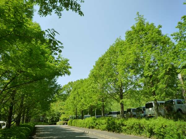 �i���Q�[�g����z�e���܂ł̃��^�Z�R�C���̕���