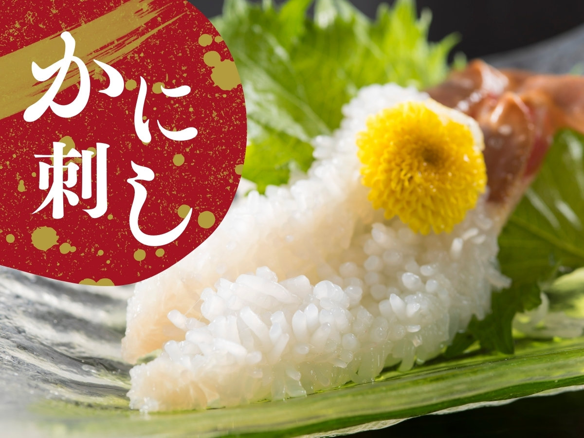 yɎhzɂ̖{wzOx̃^OtzOɎh͊Ö|ႢI