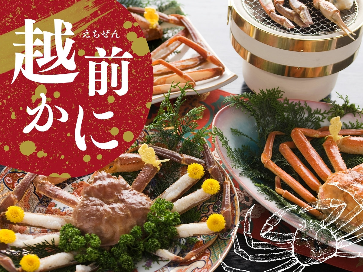 yzOɃR[XzTCYőIׂ^OtzOɃv~̖ỏlwzOɁx\I