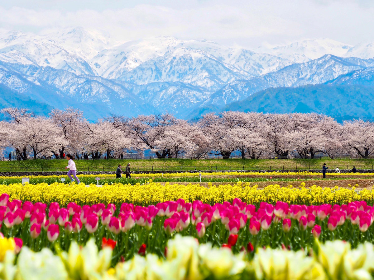 �y�������4�����{�`4�����{�z���֗��ɃA�N�Z�X�������߂ɂ��̊��ԁA���}�o�X����ʕւŉ^�s���܂�