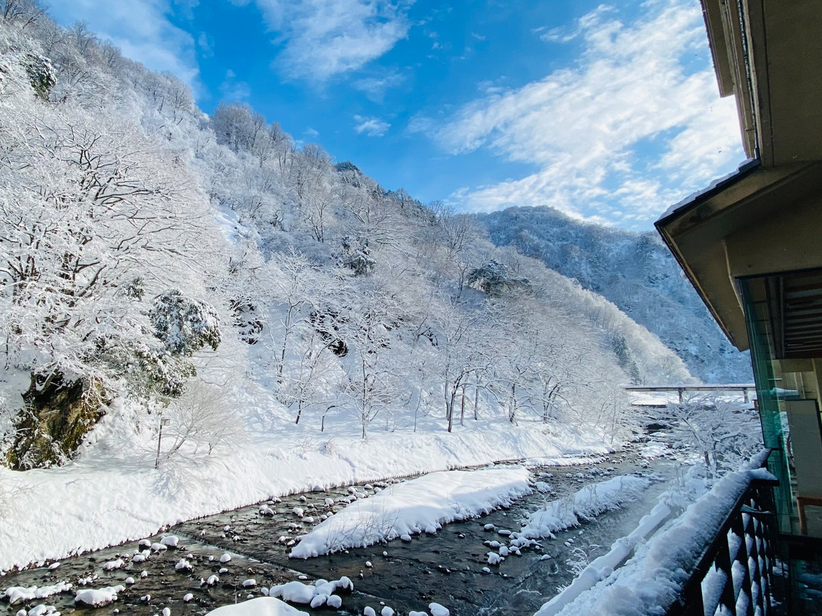 �y�������12�����{�`3�����{�z���ꂽ���͐�����Ԃ����؁X���L���L���ƋP���Ă܂Ԃ������炢�ł��@