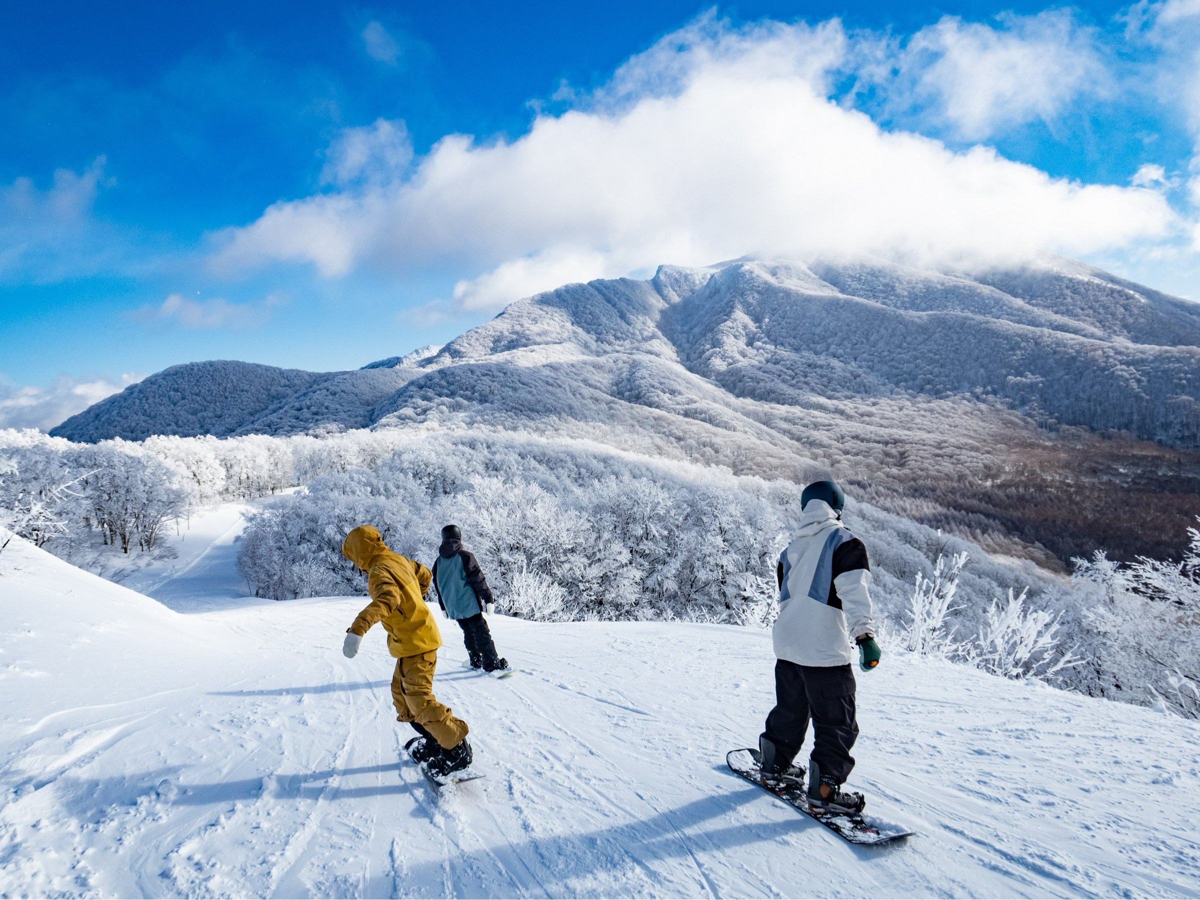 �y���샊�]�[�g�@�l�R�} �}�E���e���z���{�ő勉�̃X�L�[��Ń����O���C�h���G���W���C�I