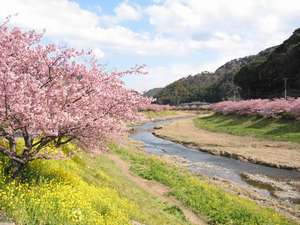 ��ɓ��̉͒Í��ƍ؂̉�2���`3��