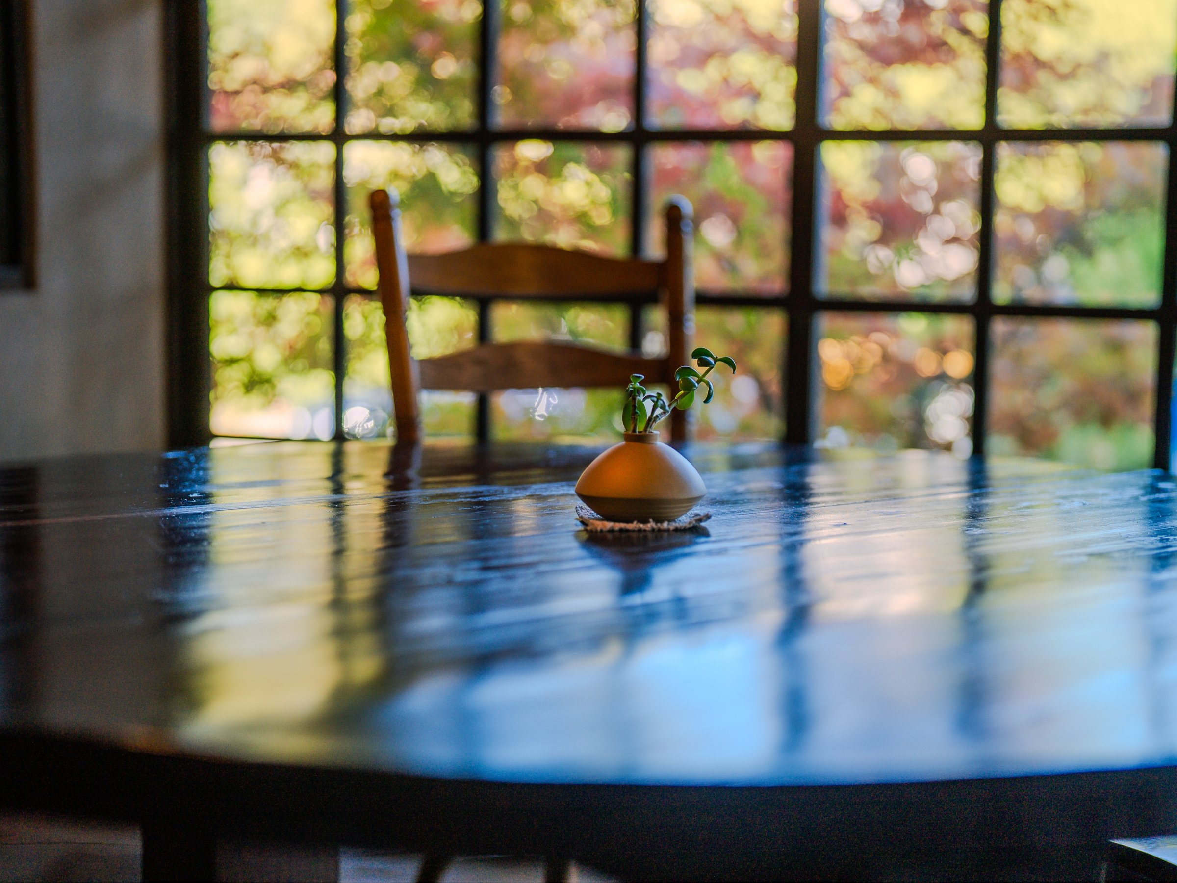 �S�قǂ���A�����̂ЂƋx�݁B