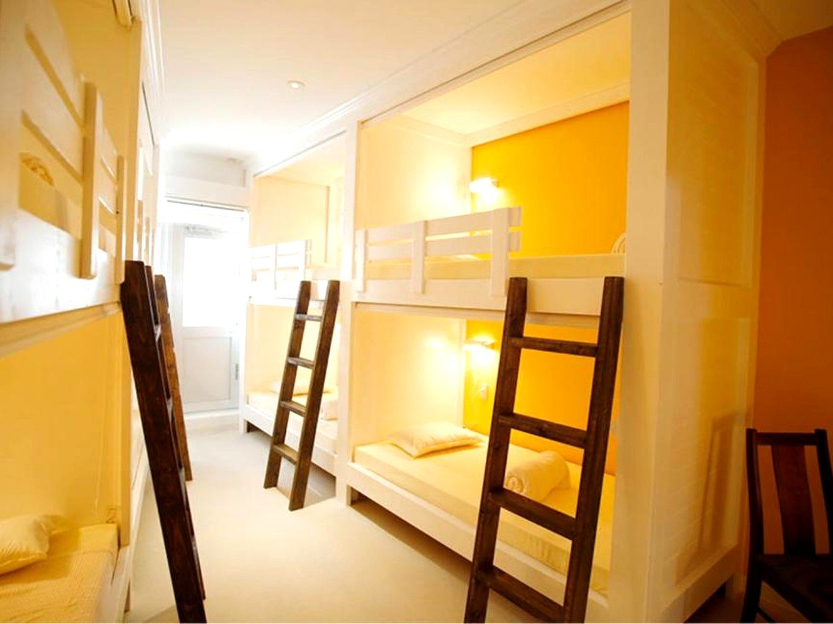 �j����p�h�~�g���[