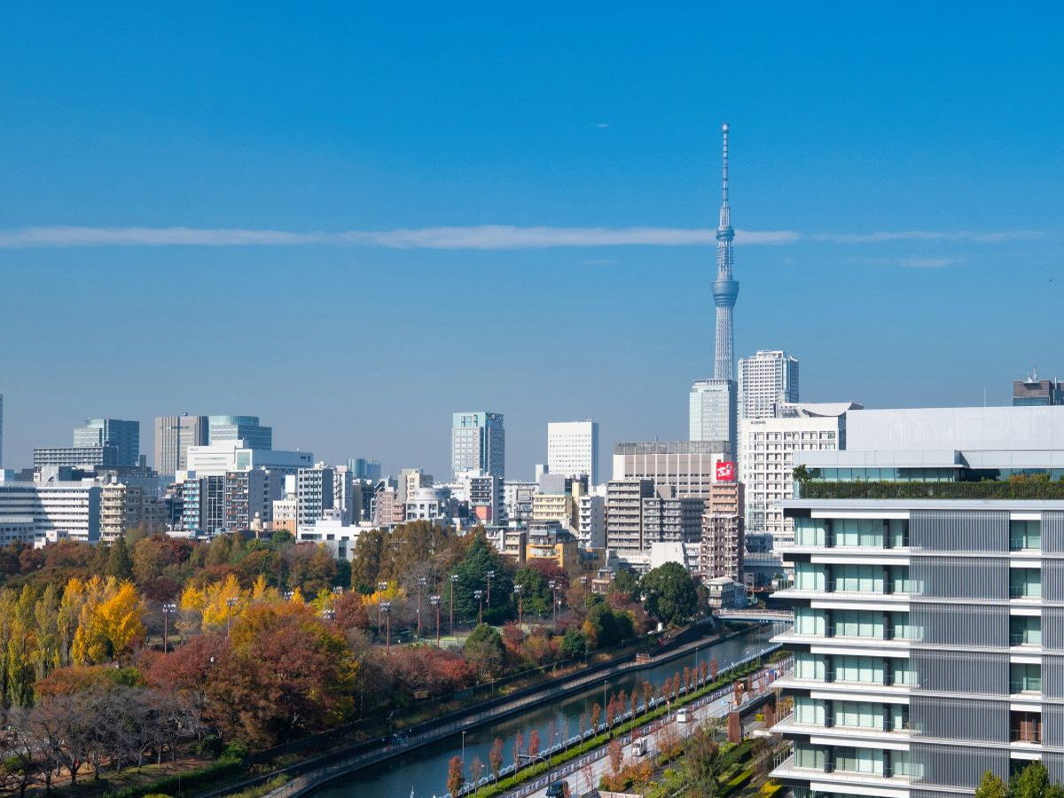 ���i�E�i��