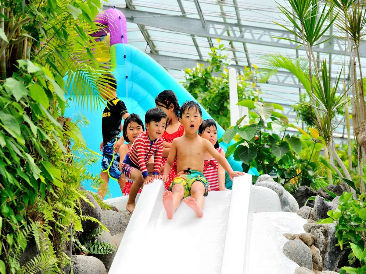 ��l�C�̂��ׂ��B���ǂ��g�����ˁ�