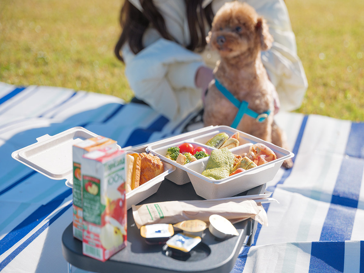 �y���������ƃs�N�j�b�N�z������Ԃ̎₵�����A�ō��̎v���o�ɓh��ւ���x����