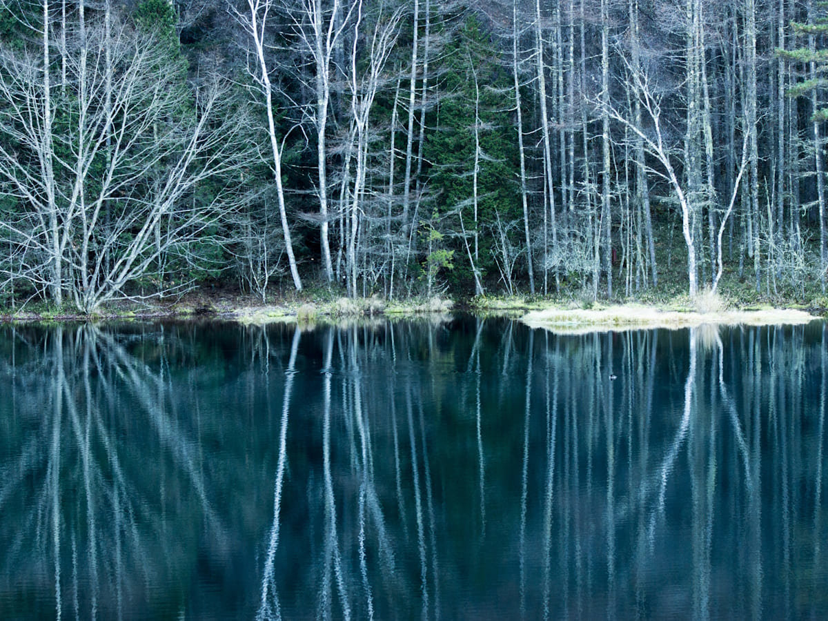 yREόz~̌ˎr͔zIȕiɂȂ܂B(k10)