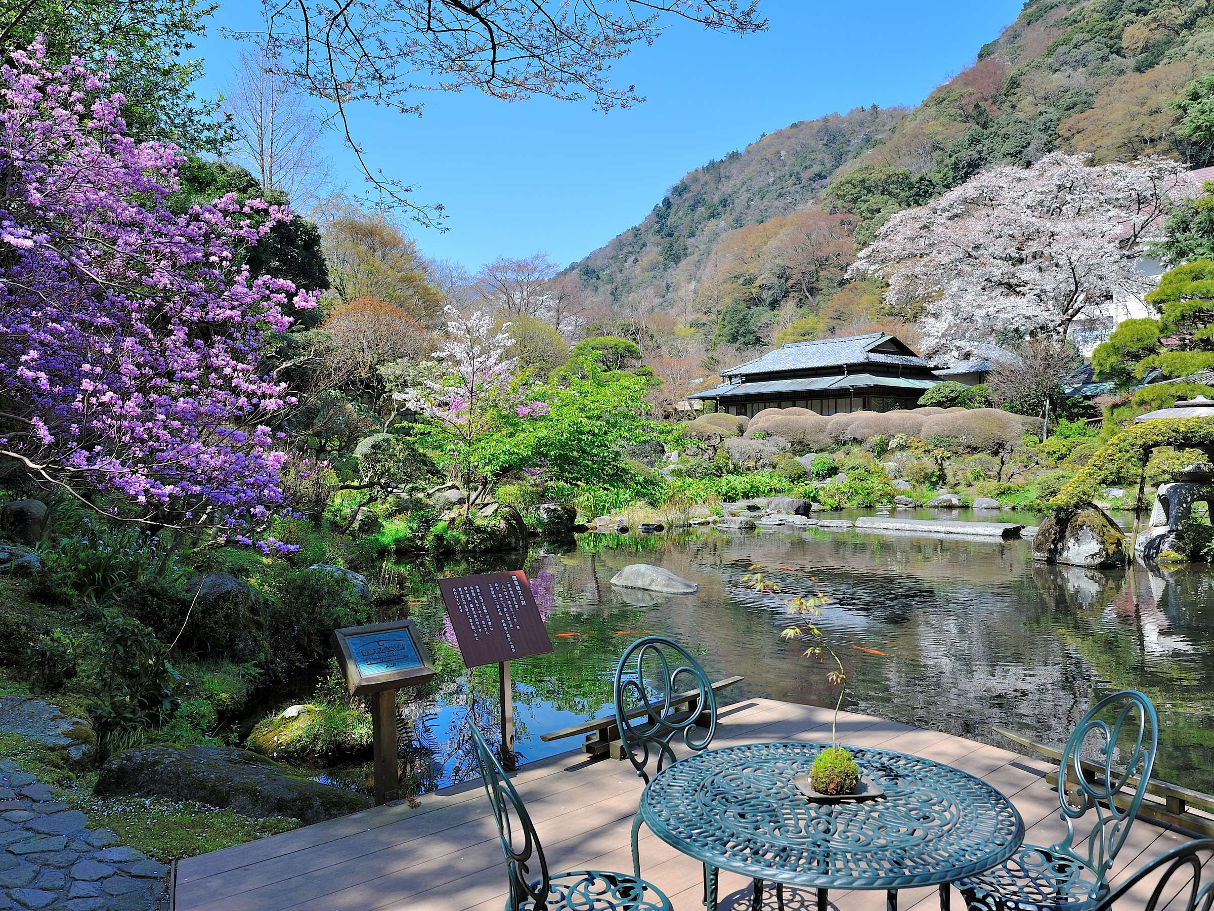 �r���V���뉀�u�R�����v