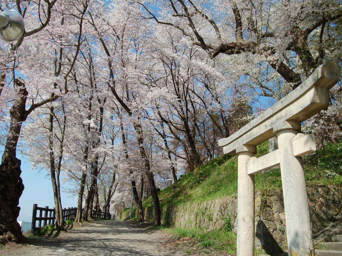 �y�ԓ��z�G�X�q�R�̍��͗�N4���㔼�Ɋy���ނ��Ƃ��ł��܂����