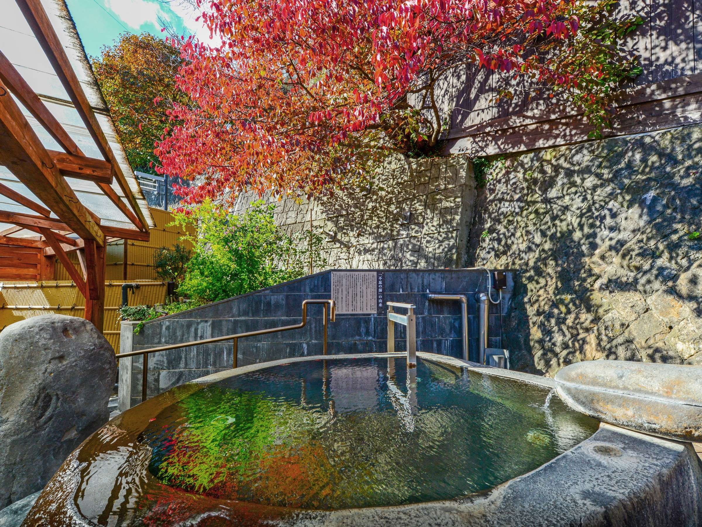 yzH̍gty݂ȂIVC͊iʁ