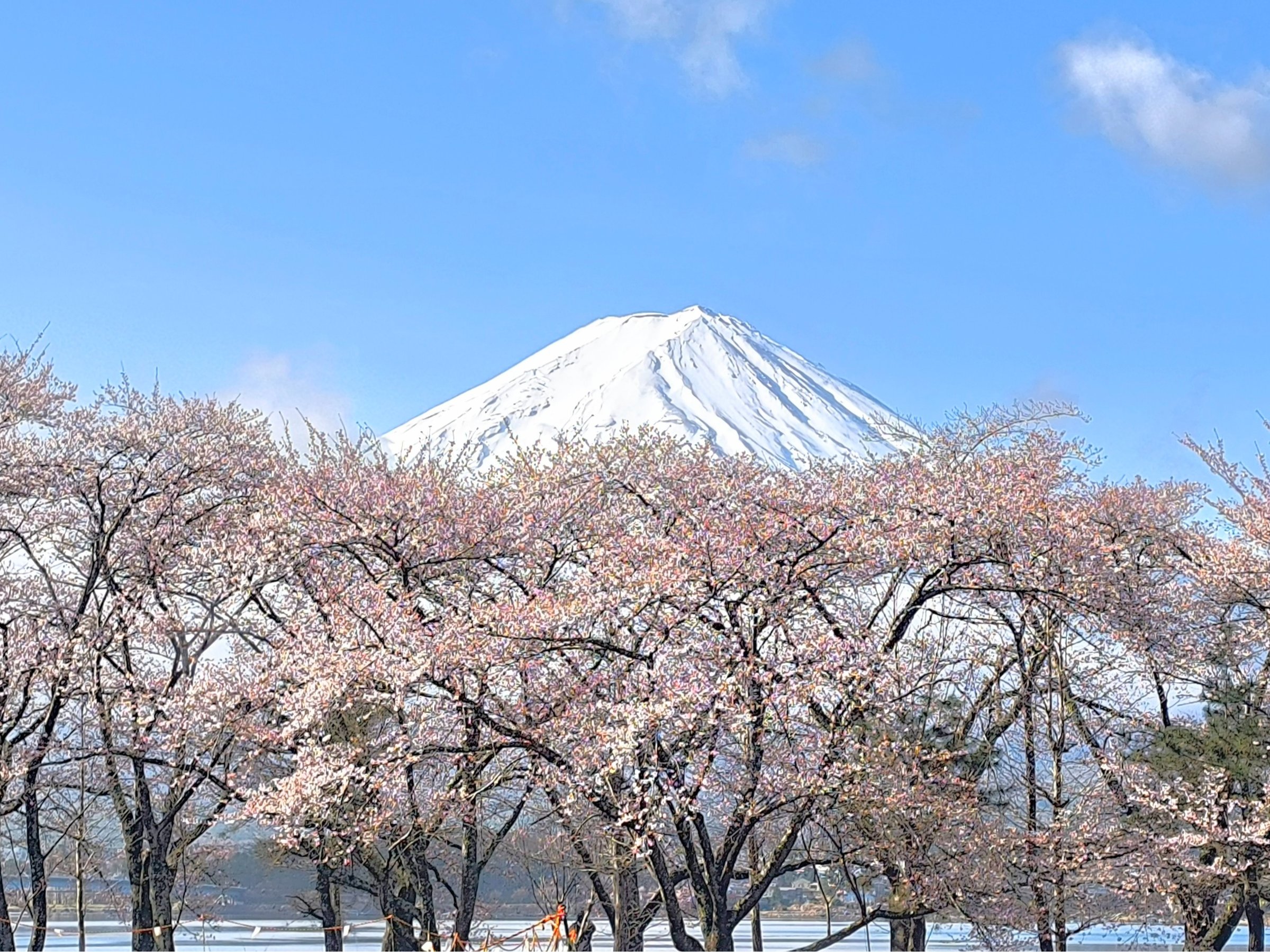 �k��2���̍����؂ƕx�m�R�Ɖ͌���