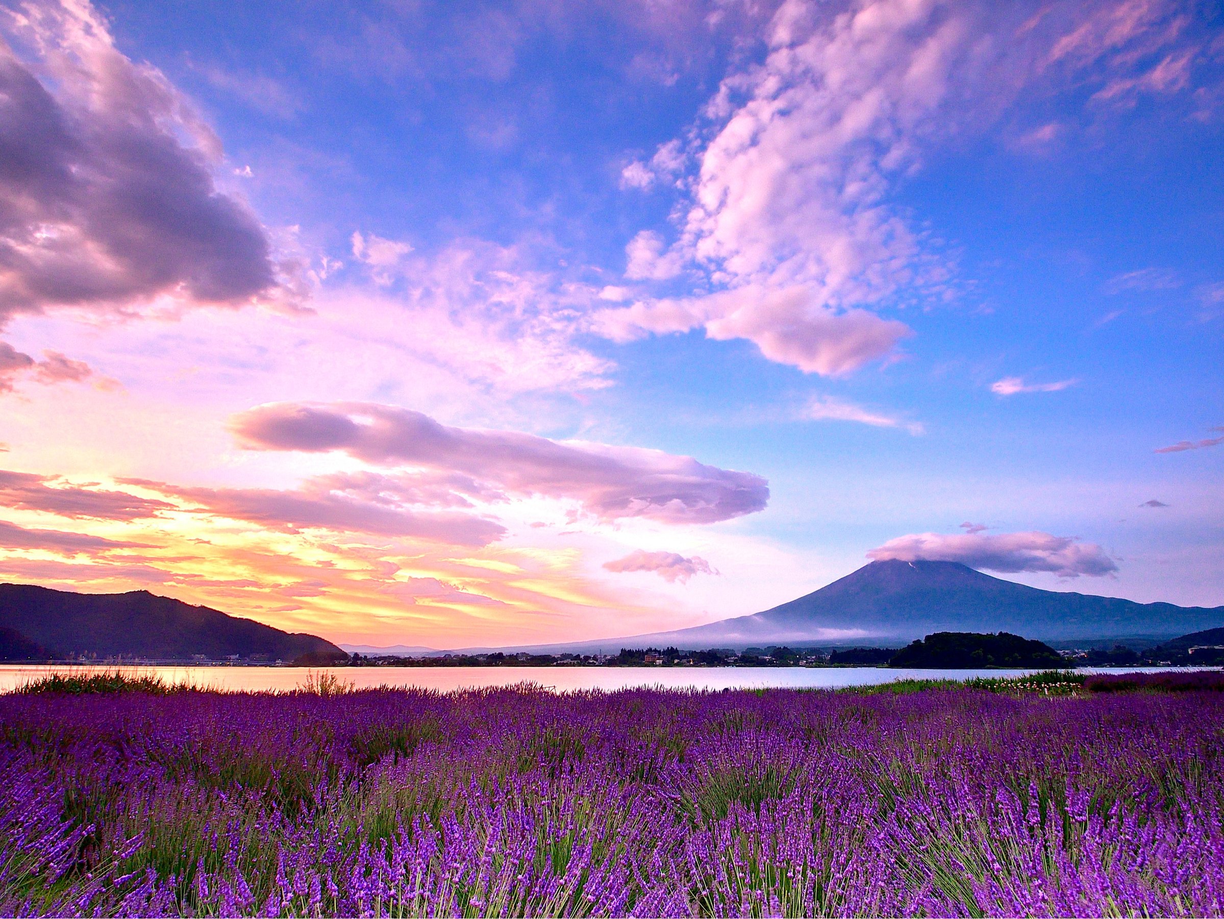 ���x���_�[�����̑�Ό���